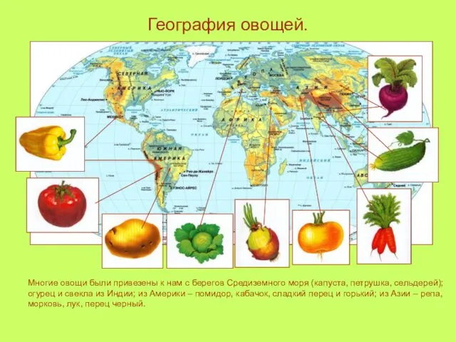 География овощей. Многие овощи были привезены к нам с берегов