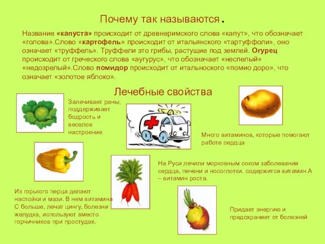 Почему так называются. Название «капуста» происходит от древнеримского слова «капут»,