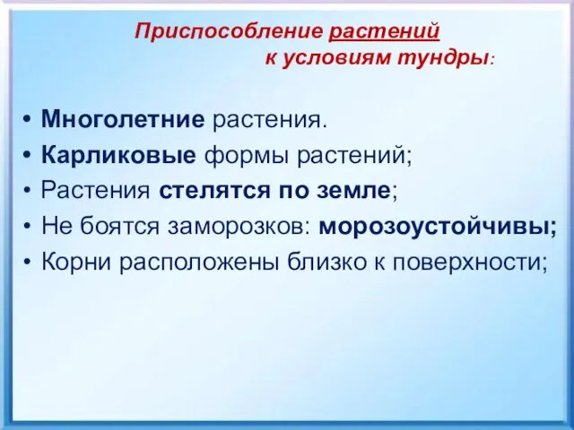 Приспособление растений к условиям тундры: Многолетние растения. Карликовые формы растений;