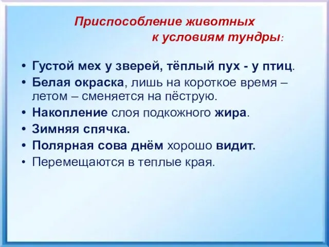 Приспособление животных к условиям тундры: Густой мех у зверей, тёплый