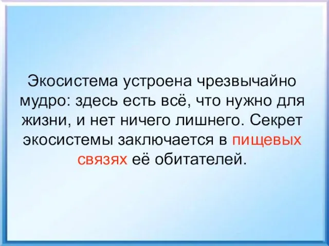 Экосистема устроена чрезвычайно мудро: здесь есть всё, что нужно для