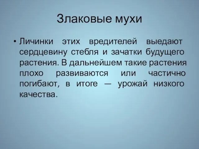 Злаковые мухи Личинки этих вредителей выедают сердцевину стебля и зачатки