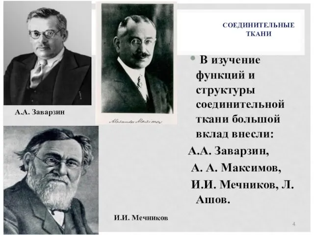 СОЕДИНИТЕЛЬНЫЕ ТКАНИ В изучение функций и структуры соединительной ткани большой