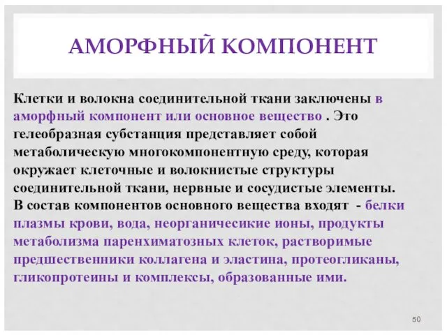 АМОРФНЫЙ КОМПОНЕНТ Клетки и волокна соединительной ткани заключены в аморфный