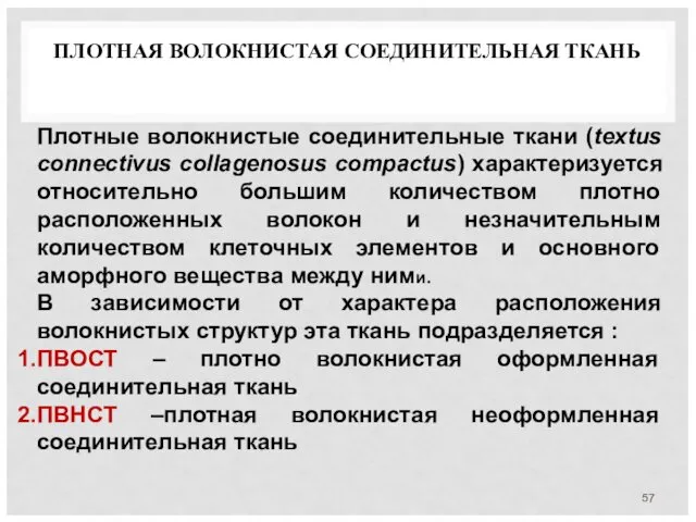 ПЛОТНАЯ ВОЛОКНИСТАЯ СОЕДИНИТЕЛЬНАЯ ТКАНЬ Плотные волокнистые соединительные ткани (textus connectivus