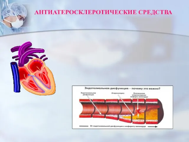 АНТИАТЕРОСКЛЕРОТИЧЕСКИЕ СРЕДСТВА