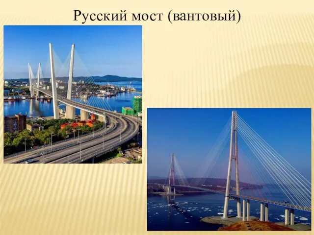Русский мост (вантовый)