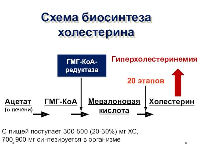 Схема биосинтеза холестерина Ацетат (в печени) ГМГ-КоА Мевалоновая кислота Холестерин