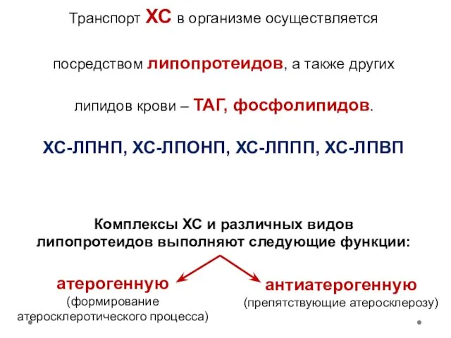 Транспорт ХС в организме осуществляется посредством липопротеидов, а также других