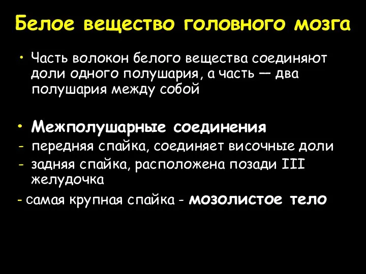 Белое вещество головного мозга Часть волокон белого вещества соединяют доли