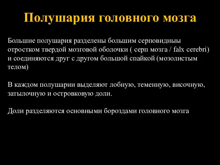 Полушария головного мозга Большие полушария разделены большим серповидныы отростком твердой