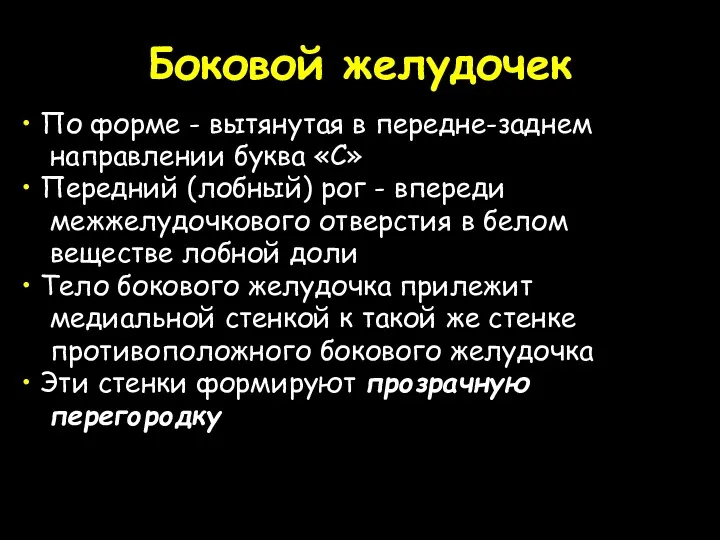 Боковой желудочек По форме - вытянутая в передне-заднем направлении буква