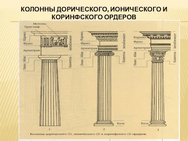 КОЛОННЫ ДОРИЧЕСКОГО, ИОНИЧЕСКОГО И КОРИНФСКОГО ОРДЕРОВ