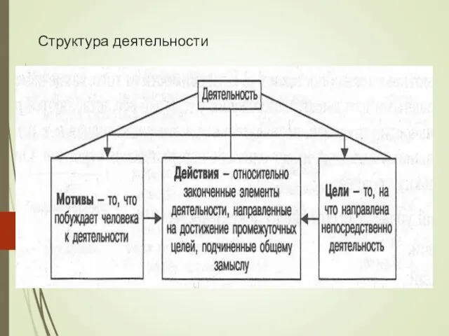 Структура деятельности