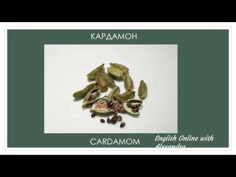 КАРДАМОН CARDAMOM English Online with Alexandra