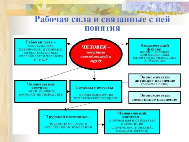 Рабочая сила и связанные с ней понятия