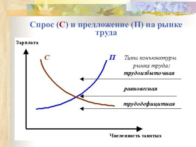 Спрос (С) и предложение (П) на рынке труда