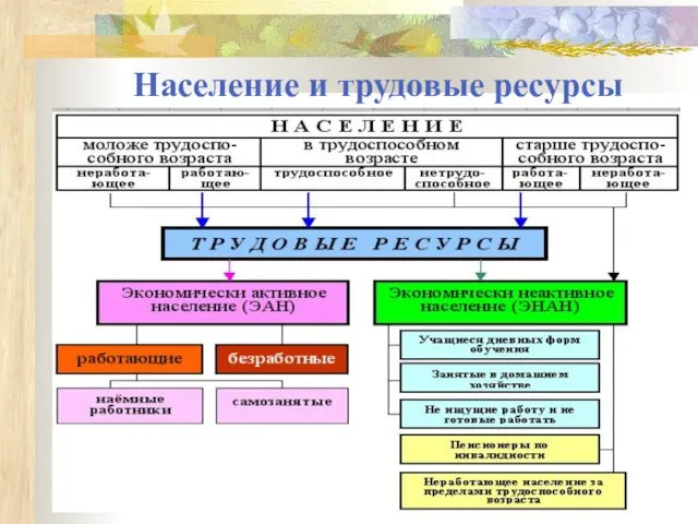 Население и трудовые ресурсы