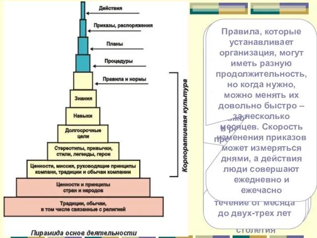 Ширина каждого слоя пирамиды пропорциональна продолжительности жизни соответствующего слоя Основание