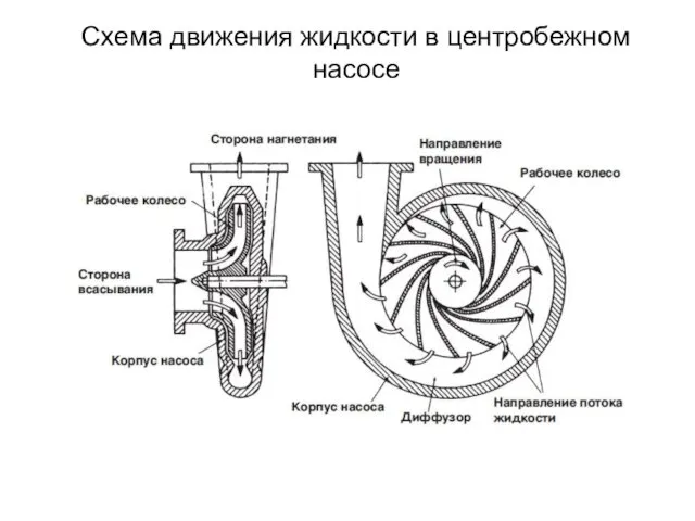 Схема движения жидкости в центробежном насосе