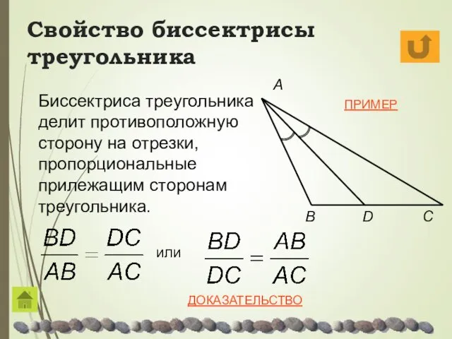 Свойство биссектрисы треугольника C B A Биссектриса треугольника делит противоположную