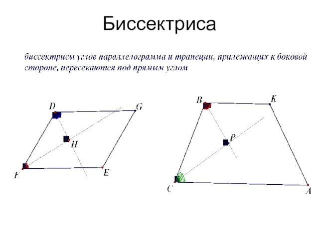 Биссектриса