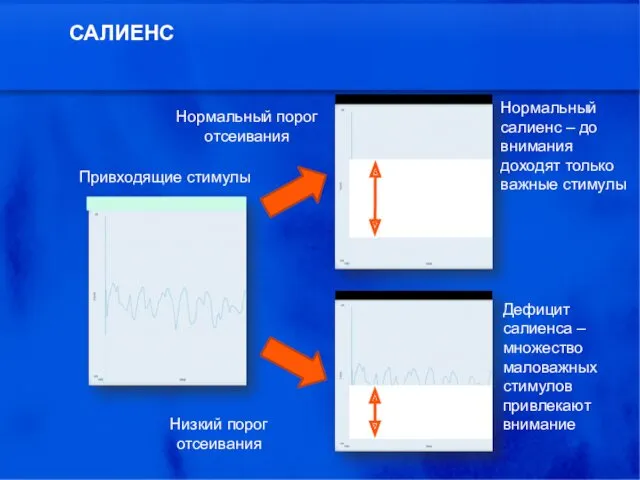 САЛИЕНС Привходящие стимулы Нормальный порог отсеивания Низкий порог отсеивания Нормальный