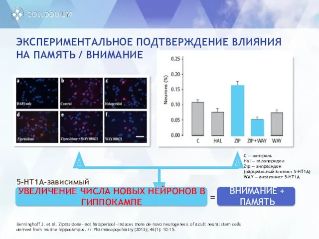 ЭКСПЕРИМЕНТАЛЬНОЕ ПОДТВЕРЖДЕНИЕ ВЛИЯНИЯ НА ПАМЯТЬ / ВНИМАНИЕ Benninghoff J. et