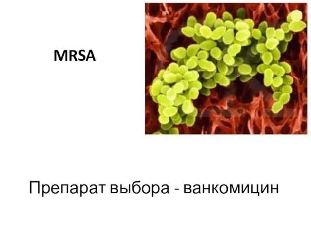 MRSA Препарат выбора - ванкомицин