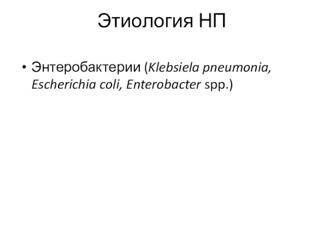 Этиология НП Энтеробактерии (Klebsiela pneumonia, Escherichia coli, Enterobacter spp.)