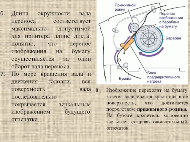 Длина окружности вала переноса соответствует максимально допустимой для принтера длине листа: понятно, что