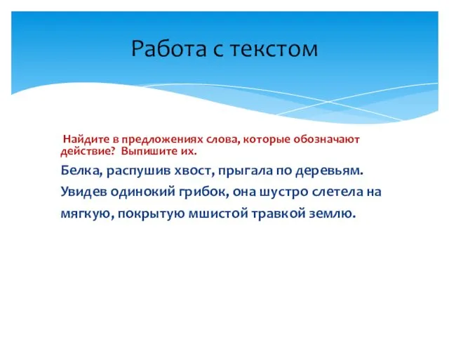 Найдите в предложениях слова, которые обозначают действие? Выпишите их. Белка,