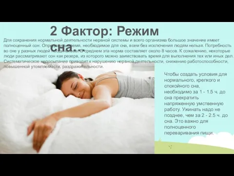 2 Фактор: Режим сна… Для сохранения нормальной деятельности нервной системы