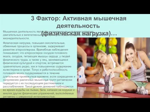 3 Фактор: Активная мышечная деятельность (физическая нагрузка)… Мышечная деятельность является