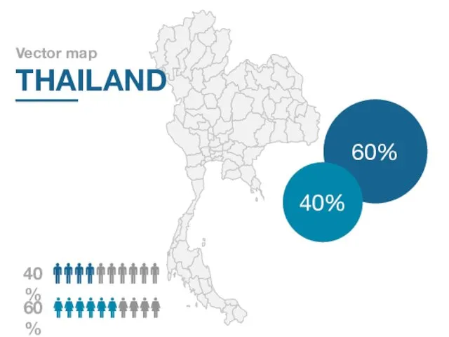 Vector map THAILAND 60% 40%