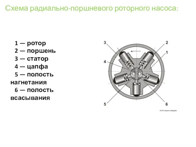 Схема радиально-поршневого роторного насоса: 1 — ротор 2 — поршень