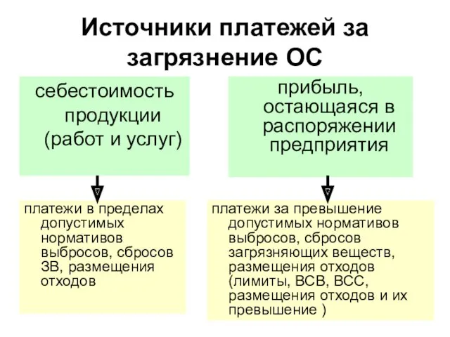 Источники платежей за загрязнение ОС себестоимость продукции (работ и услуг)