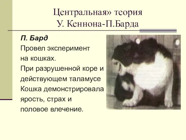 Центральная» теория У. Кеннона-П.Барда П. Бард Провел эксперимент на кошках.