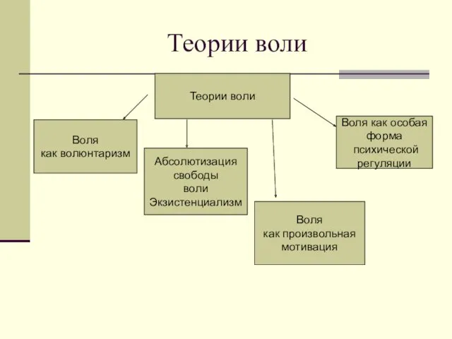 Теории воли Теории воли Воля как волюнтаризм Абсолютизация свободы воли