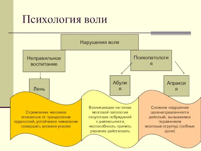 Психология воли Нарушения воли Неправильное воспитание Психопатология Абулия Апраксия Лень