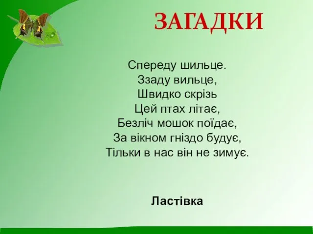 Спереду шильце. Ззаду вильце, Швидко скрізь Цей птах літає, Безліч