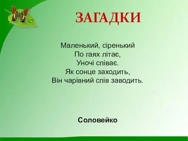 Маленький, сіренький По гаях літає, Уночі співає. Як сонце заходить, Він чарівний спів заводить. Соловейко ЗАГАДКИ