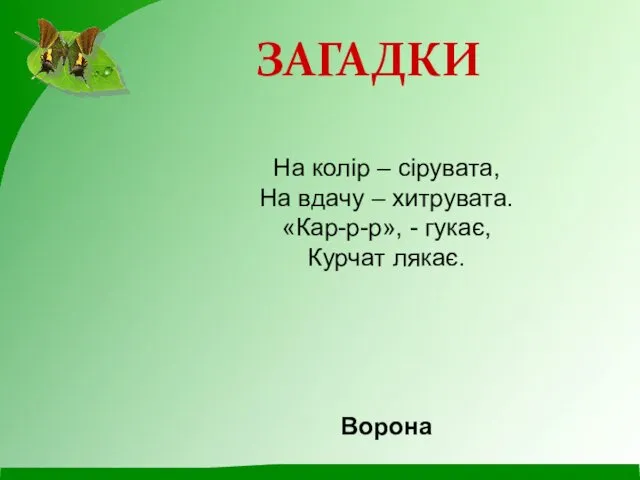 На колір – сірувата, На вдачу – хитрувата. «Кар-р-р», - гукає, Курчат лякає. Ворона ЗАГАДКИ