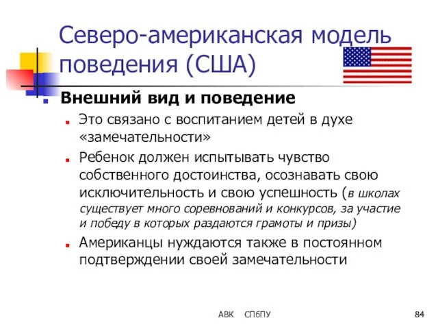 АВК СПбПУ Северо-американская модель поведения (США) Внешний вид и поведение