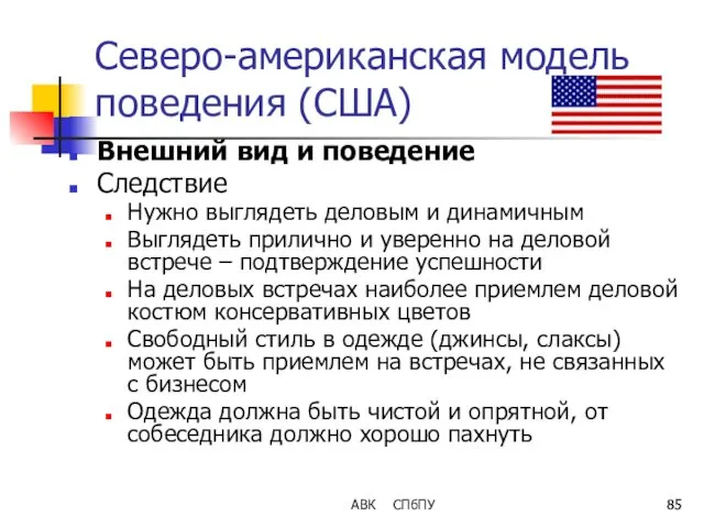 АВК СПбПУ Северо-американская модель поведения (США) Внешний вид и поведение