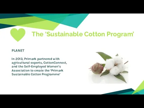 The ‘Sustainable Cotton Program’ PLANET In 2013, Primark partnered with