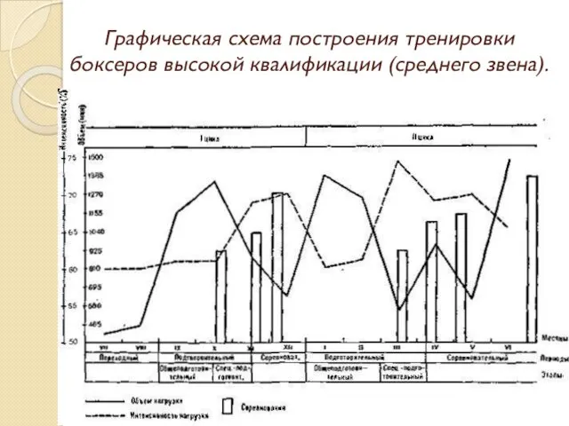 Графическая схема построения тренировки боксеров высокой квалификации (среднего звена).