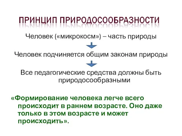 Человек («микрокосм») – часть природы Человек подчиняется общим законам природы