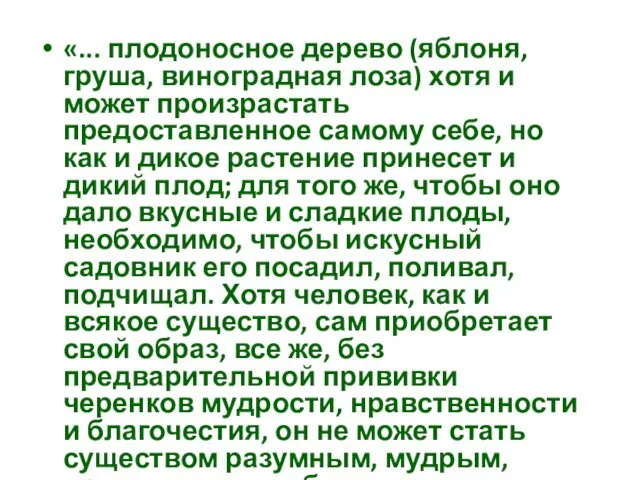 «... плодоносное дерево (яблоня, груша, виноградная лоза) хотя и может