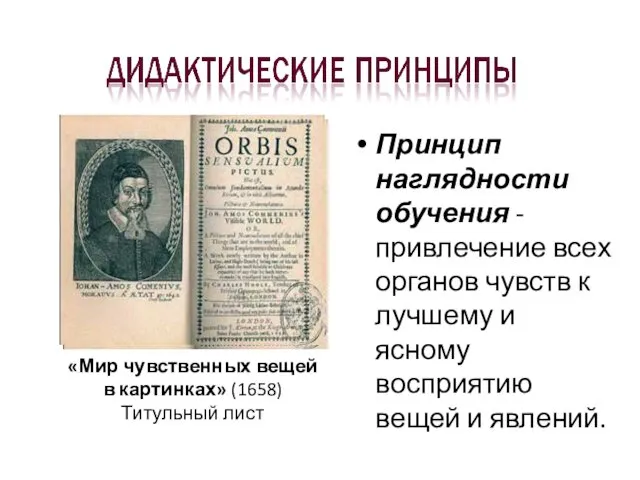 Принцип наглядности обучения -привлечение всех органов чувств к лучшему и